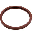 Pentair Kit Gasket Lens Silicone 5G Pool | 620400Z