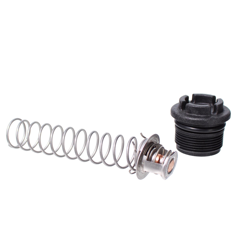 Pentair MasterTemp & Sta-Rite Max-E-Therm Thermal Regulator Kit | 77707-0010