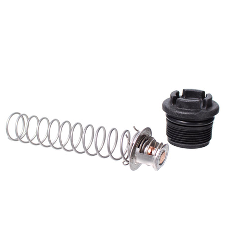 Pentair MasterTemp & Sta-Rite Max-E-Therm Thermal Regulator Kit | 77707-0010