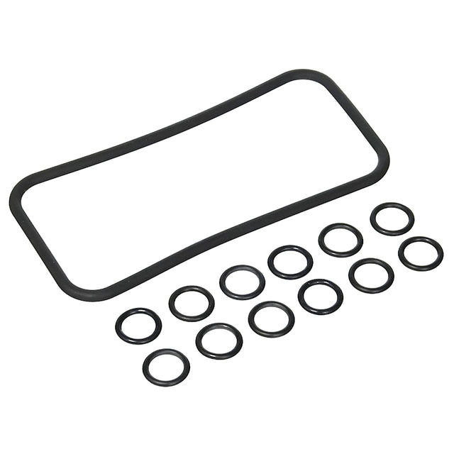 Pentair MasterTemp & Sta-Rite Max-E-Therm O-Ring Kit for Manifold & Tube Sheet Coil | 77707-0120