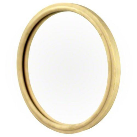Pentair 8-3/8 Lens Gasket | 79101600Z"