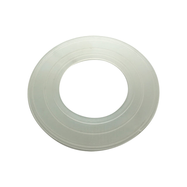 Pentair AquaLuminator Pool Light Gasket | 79116800