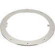 Pentair 10-Hole Standard Liner Sealing Ring | 79200200