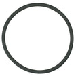 Pentair Rainbow 3 Cap O-Ring | R172009Z"