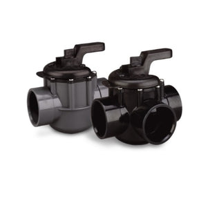 Pentair Valve Check Old Style | R172020