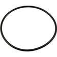 Pentair Rainbow Leaf Trap O-Ring | R172223