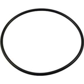 Pentair Rainbow Leaf Trap O-Ring | R172223