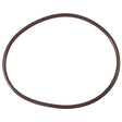 Pentair High Capacity Chlorinator Lid to Housing O-Ring | R172240