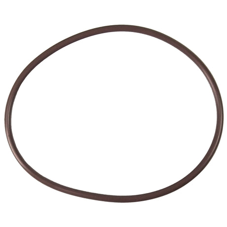 Pentair High Capacity Chlorinator Lid to Housing O-Ring | R172240