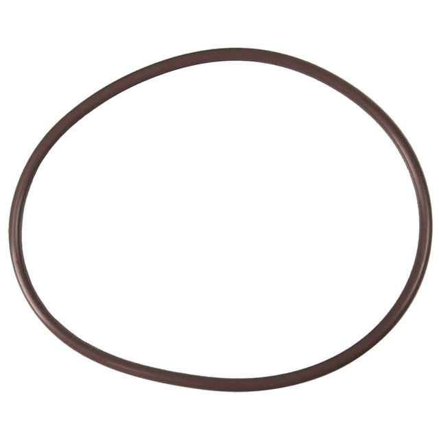 Pentair High Capacity Chlorinator Lid to Housing O-Ring | R172240