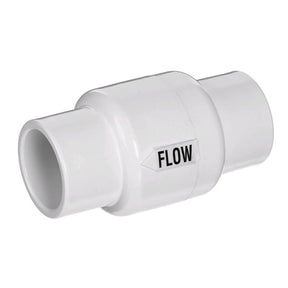 Pentair 1-1/2 to 2" Valve Check | R172288"