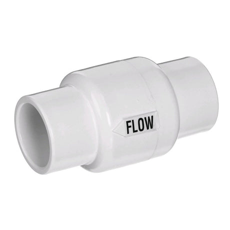 Pentair 1-1/2 to 2" Valve Check | R172288"