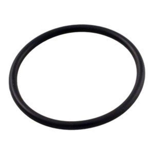 Pentair Rainbow #128 Bottom O-Ring | R172319