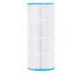 Pentair Filter Cartridge Replacement 100 sf | R173215