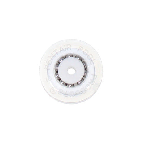 Pentair #175 Ball Bearing Polyurethane Wheel | R201557Z