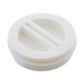 Pentair R22010 White Flat Plastic Plug 1-1/2 | R22010"