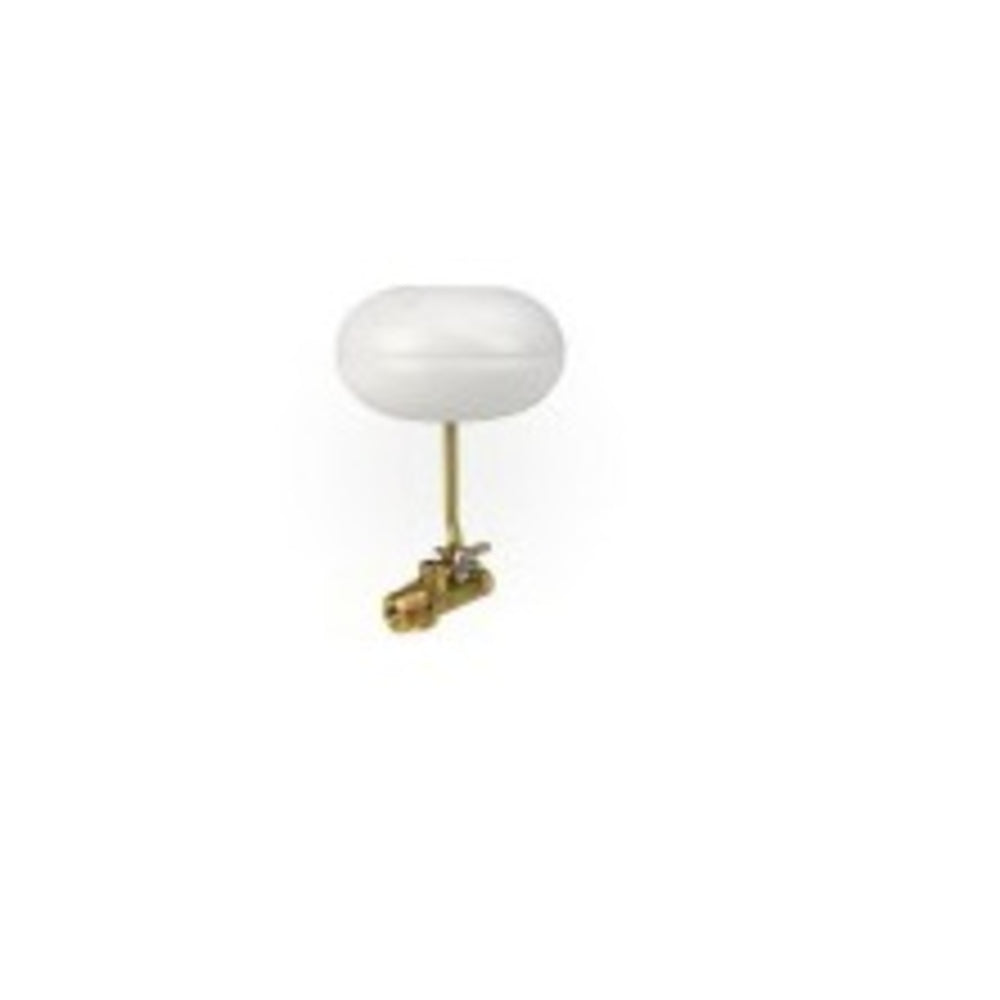 Pentair 3/8â€³ MPT Brass Autofill Float Valve | T26 2