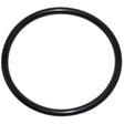 Pentair 1.5â€³ Union & Diffuser O-Ring | U9-226Z