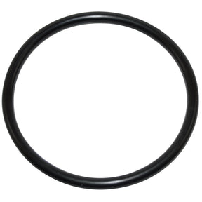 Pentair 1.5â€³ Union & Diffuser O-Ring | U9-226Z