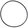 Pentair Seal Plate O-Ring | U9-228AZ