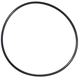 Pentair Seal Plate O-Ring | U9-228AZ