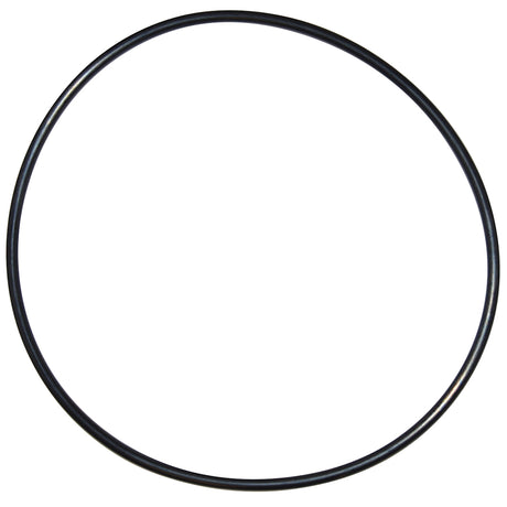 Pentair Seal Plate O-Ring | U9-228AZ