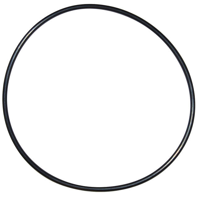 Pentair Seal Plate O-Ring | U9-228AZ