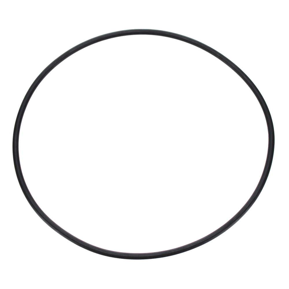 Pentair Seal Plate O-Ring | U9-228AZ 2