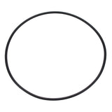 Pentair Seal Plate O-Ring | U9-228AZ 2