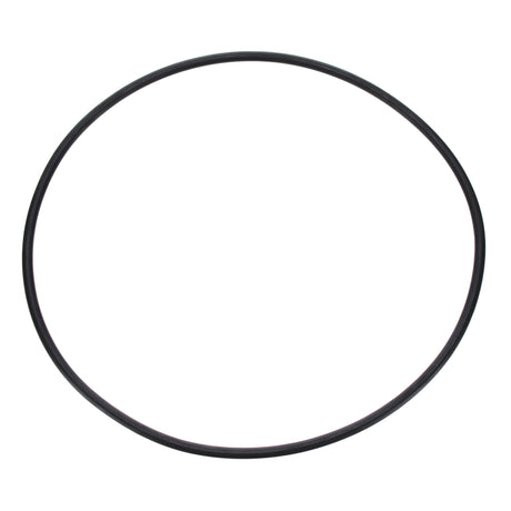 Pentair Seal Plate O-Ring | U9-228AZ 2