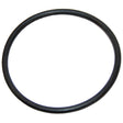 Polaris Feed Pipe O-Ring | 9-100-5132