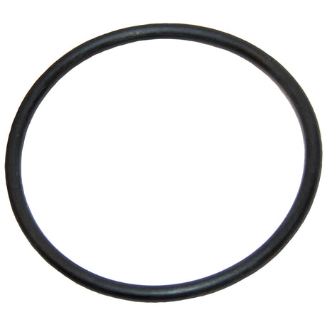 Polaris Feed Pipe O-Ring | 9-100-5132