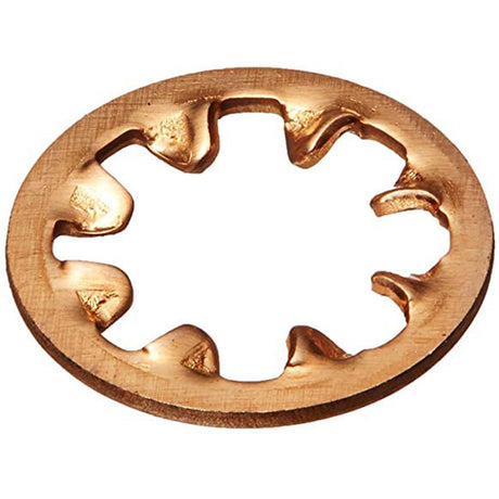Polaris C36/280/180 Pool Cleaner Lock Washer | C45