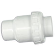 Praher 1 ï¿½ Corrosion Resistant Check Valve With 2Lb Spring (S X S) | 150-CV-200CR"