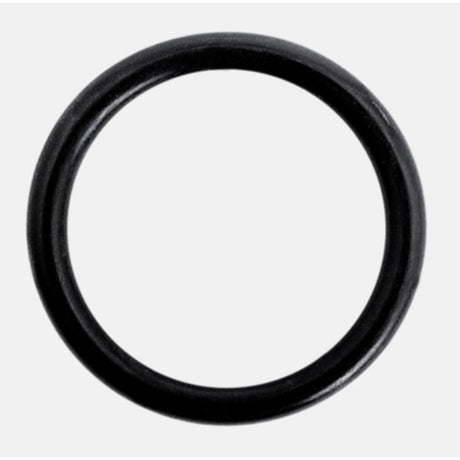 Praher EPDM 2 O-Ring For 2" PVC Union  | E331"