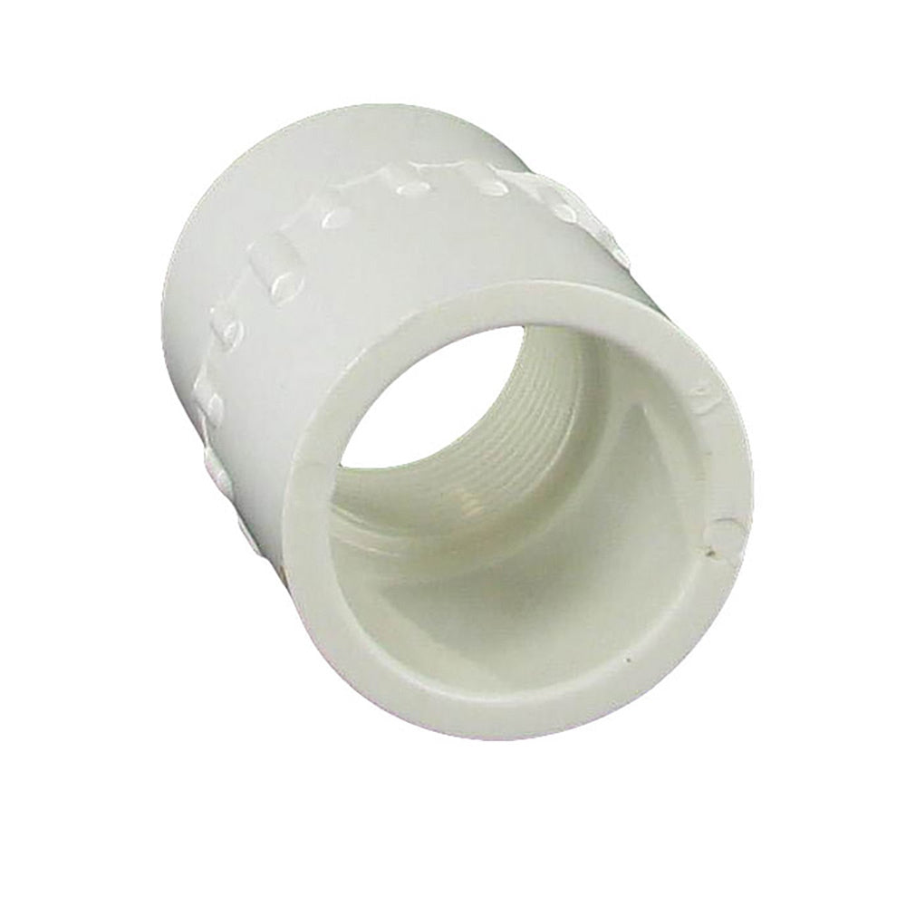 Adapter, 1/2 Slip x FPT White PVC Schedule 40"