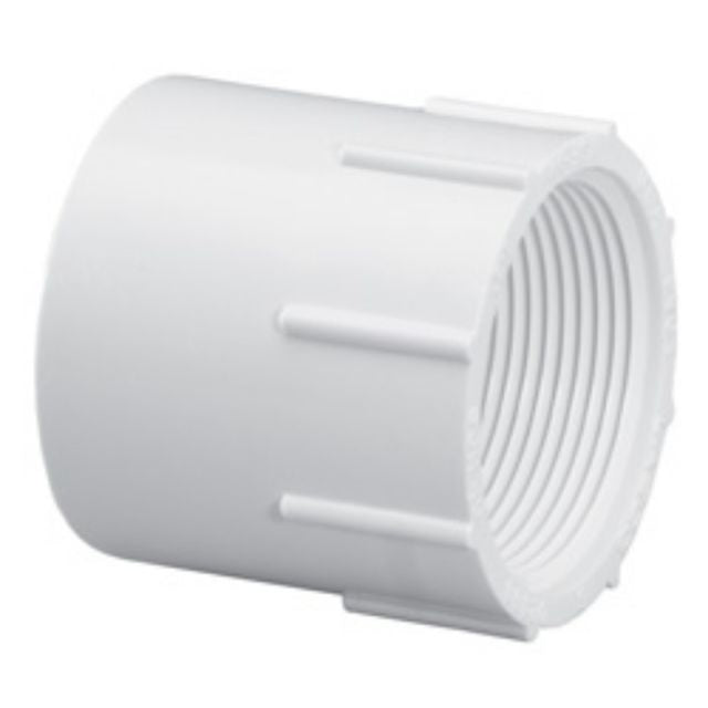 Adapter, 2 Slip x FPT White PVC Schedule 40"