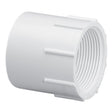 Adapter, 3 Slip x FPT White PVC Schedule 40"