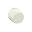 Plug, 1 MPT White PVC Schedule 40"