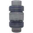 2 Clear PVC Spring Check Valve With ï¿½ Lb Spring (S X S) | S1780C20"