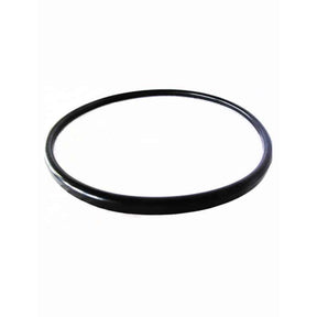 Gasket For Quantum Filter | V38-221