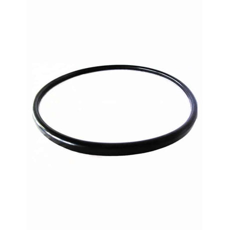 Gasket For Quantum Filter | V38-221