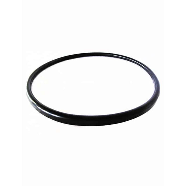 Gasket For Quantum Filter | V38-221