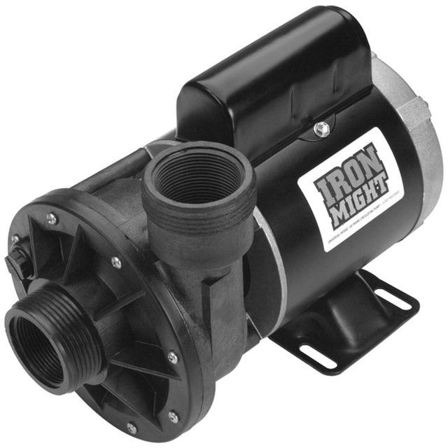Waterway Iron Might 1/8Hp, 115V, 60Hz, | 3410030-1E