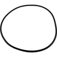 Waterway Lidtobody O-Ring | 805-0000
