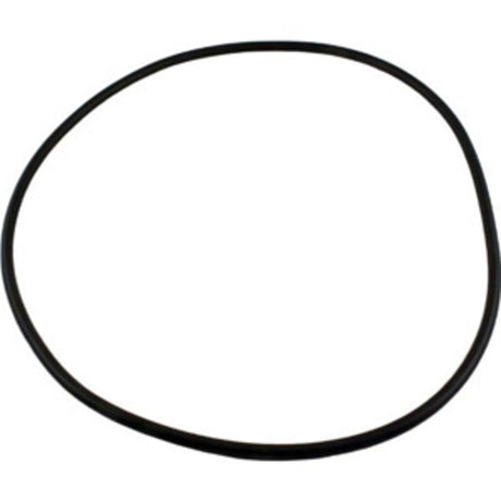 Waterway Lidtobody O-Ring | 805-0000