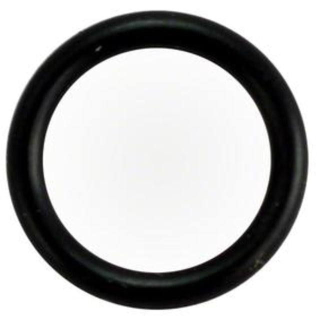 Waterway #112 Pump Drain Plug O-Ring | 805-0112