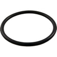 Waterway Sand Filter Drain O-Ring | 805-0224