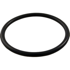 Waterway Sand Filter Drain O-Ring | 805-0224