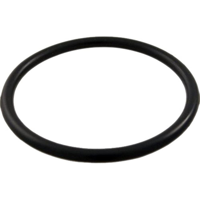 Waterway Sand Filter Drain O-Ring | 805-0224